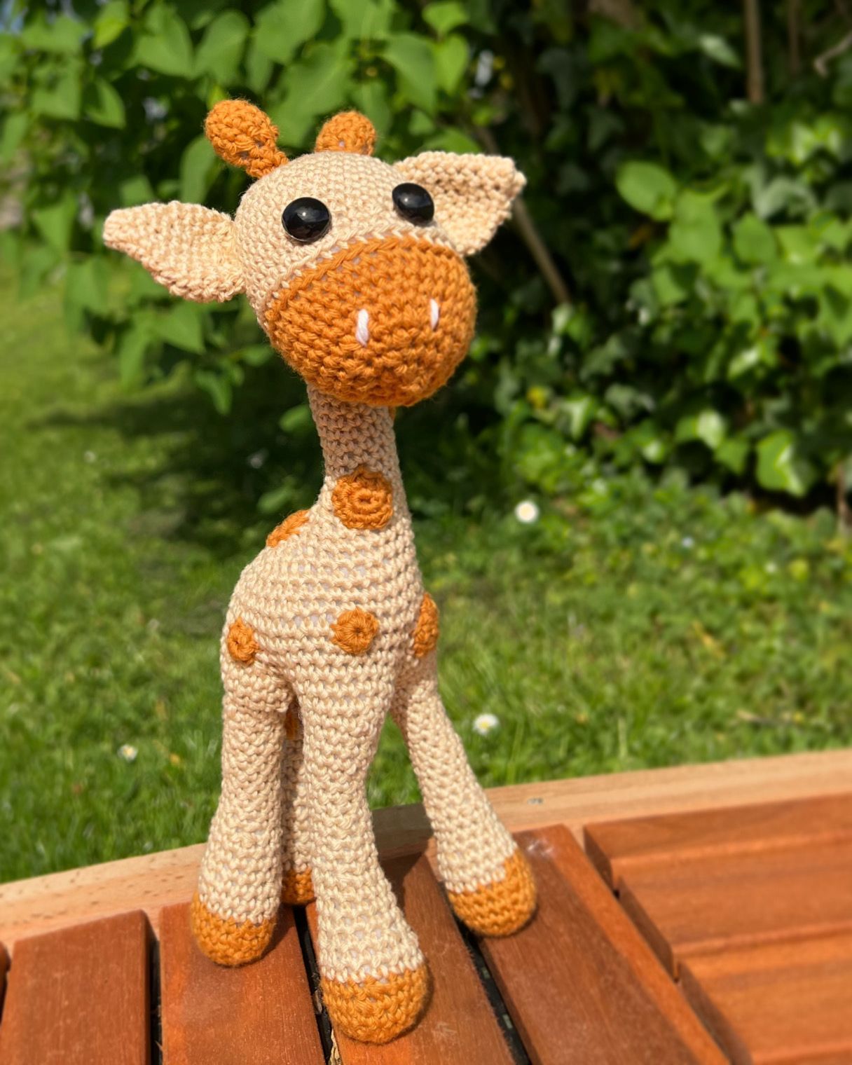 Giraffe Niara