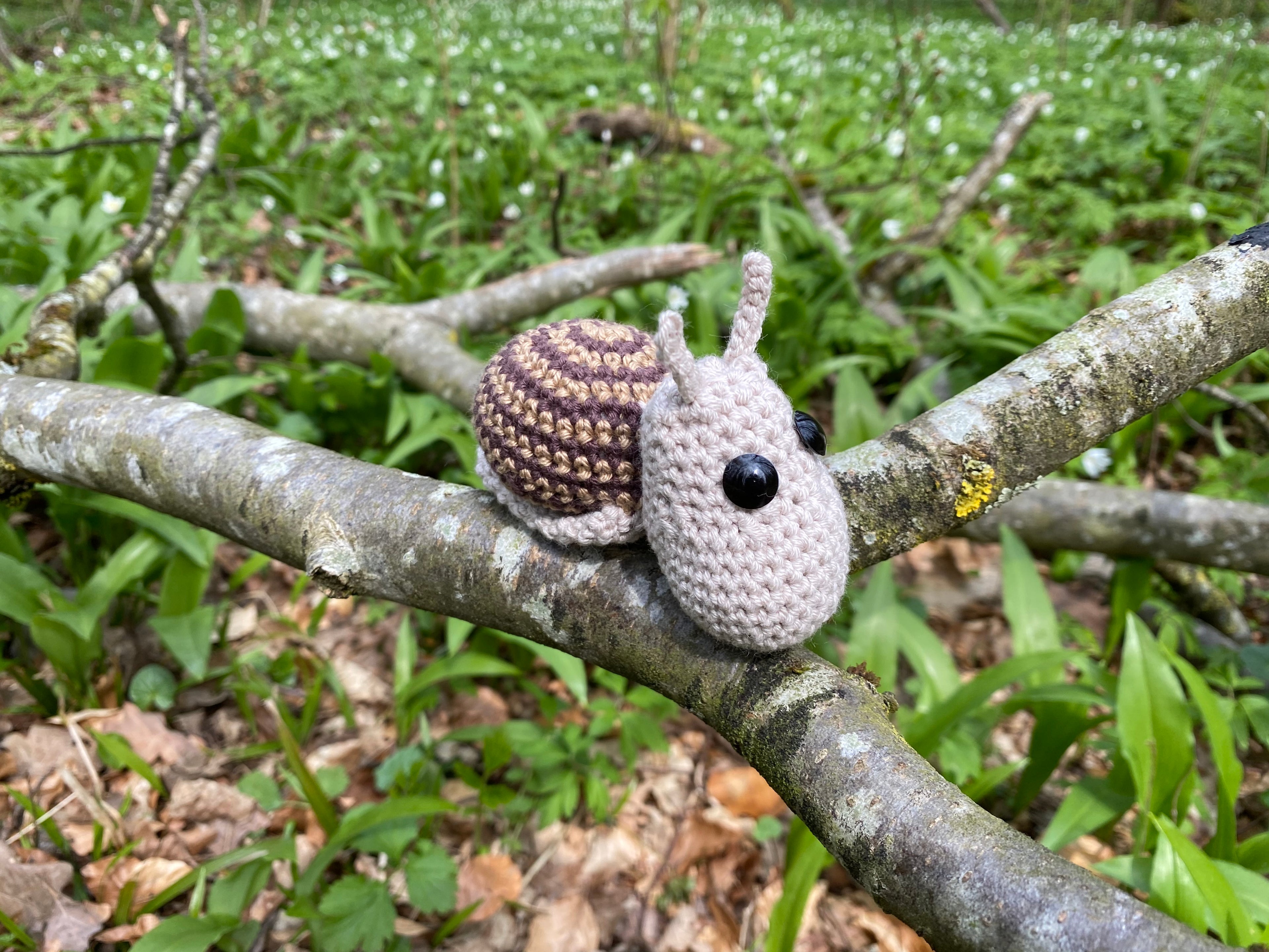 Schnecke Susi