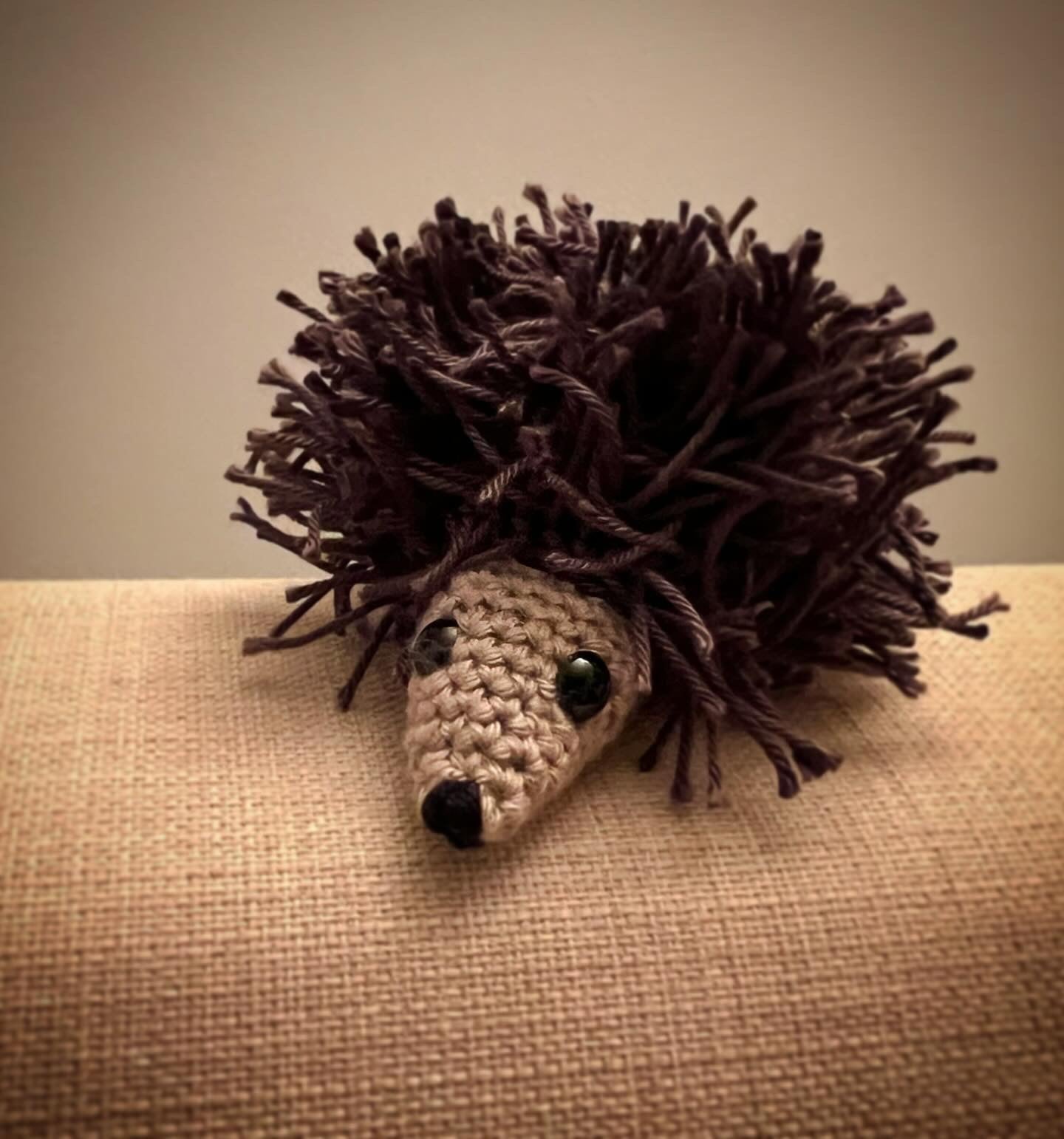 Igel